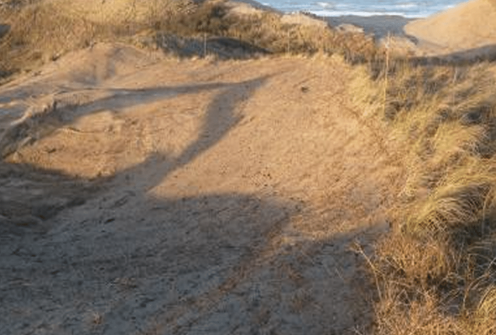 NewArmstrong’s design strategy for PWN