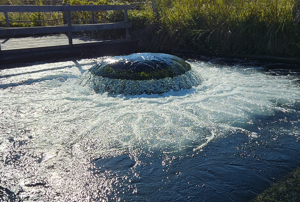 Meet the team! Cycling along drinking water production.